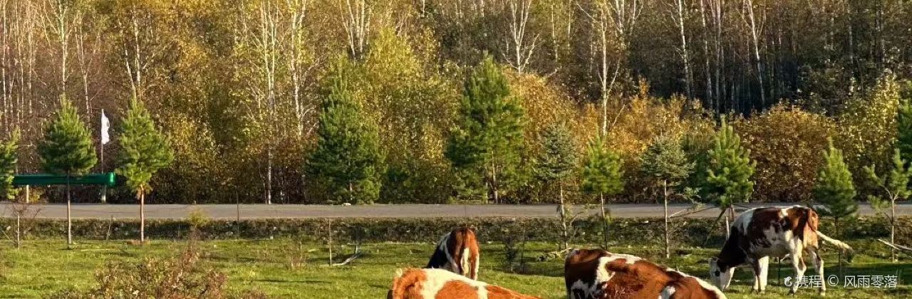 额尔古纳奇乾乡二黑农家院