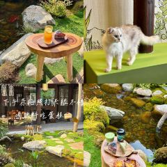 YUANYE User Photo