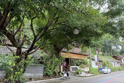 艾叶土鸡脚(艾叶店)