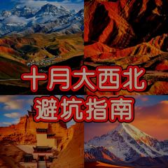 杨记干粮 User Photo