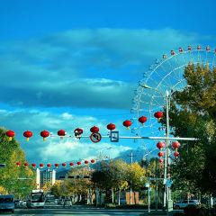 阿勒泰的角落(旅行书吧) User Photo