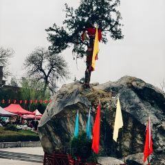 Cai Feng Lou Chinese Restaurant User Photo