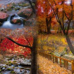 Number One User Photo