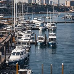 CRAYFISH KING User Photo