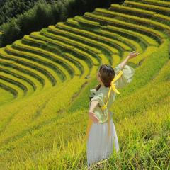 小溢茶餐馆 User Photo