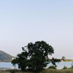 Nanbeihuliuxiangge Restaurant User Photo