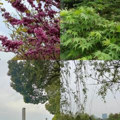 Old Kitchen User Photo