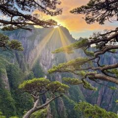 秀嫂挞粿 User Photo