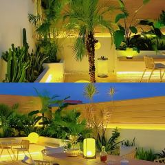 青夏空中花园餐厅 User Photo