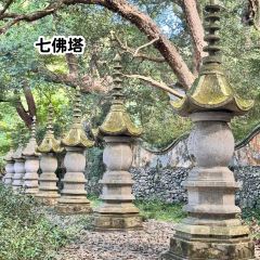 RONG CUISINE User Photo