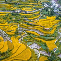 ZHENGLIANG SEAFOOD User Photo