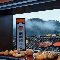 Yi jue Country Food (yongjiashuyuan) User Photo