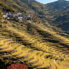 绍兴上虞万豪酒店·万豪中餐厅 User Photo