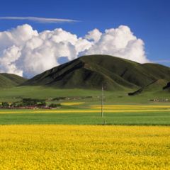 SNOWLAND'S SECRET 여행 사진