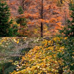 老李家燒烤·安吉網烤（安吉店）張用戶圖片