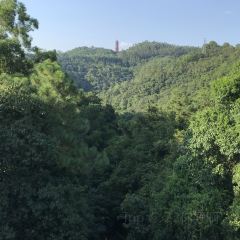 鹤山方圆福朋喜来登酒店·宜客乐西餐厅 User Photo