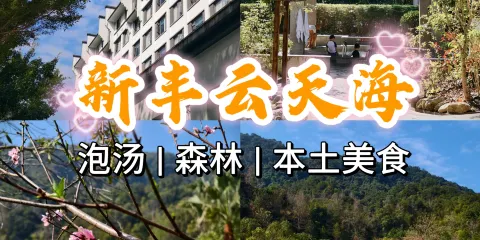 新豐雲天海温泉原始森林度假村餐廳