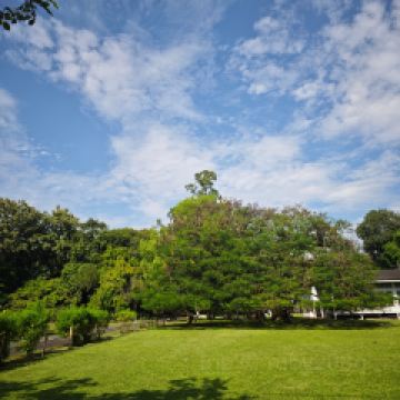 Khao Soi Maesai張用戶圖片