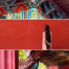 Luojishinianlaodiandingxiangjiangzhi User Photo