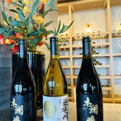 Runaway Cow Canton 8 User Photo