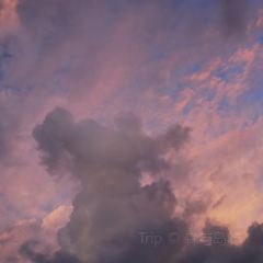 Orangutan Bunker User Photo