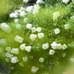 山里食茶馆 여행 사진