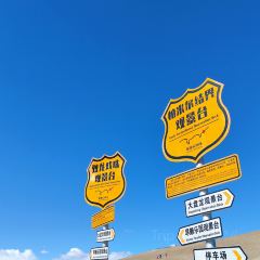 塔漂咖啡馆 User Photo