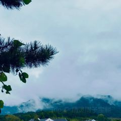 御厨轩天麻土鸡汤 User Photo