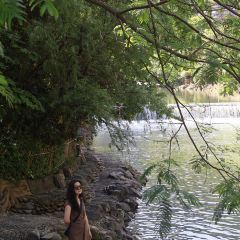 水上粮仓 User Photo