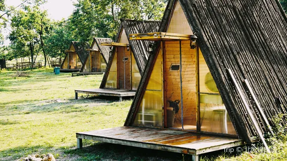 Shanjinpo Family Camping Site