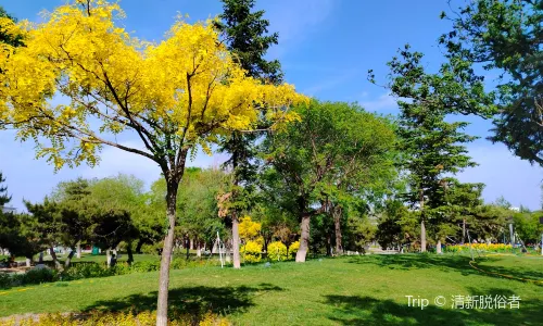 Guta Park