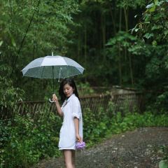 青芷森林·咖啡店 User Photo