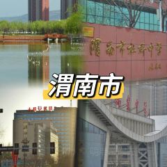 LAO ZHU SHI CHEN BAO ZI User Photo
