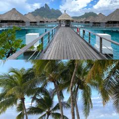 Lagoon Restaurant at The St. Regis Bora Bora Resort User Photo