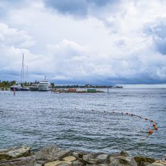 ZING Sunset Bar User Photo