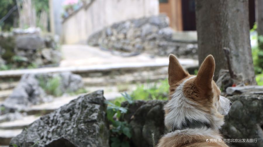 小苗鹊咖啡(梵净山店)