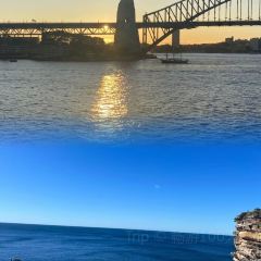 The Brew Wagga User Photo