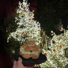 Cooperland User Photo