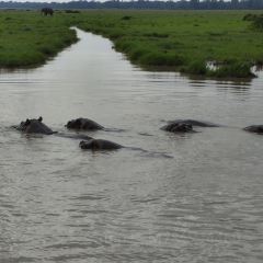 레이크 나이바샤 컨트리 클럽 여행 사진