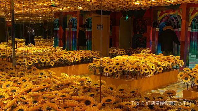 Baoding Van Gogh Star Sky Art Museum Flagship Store