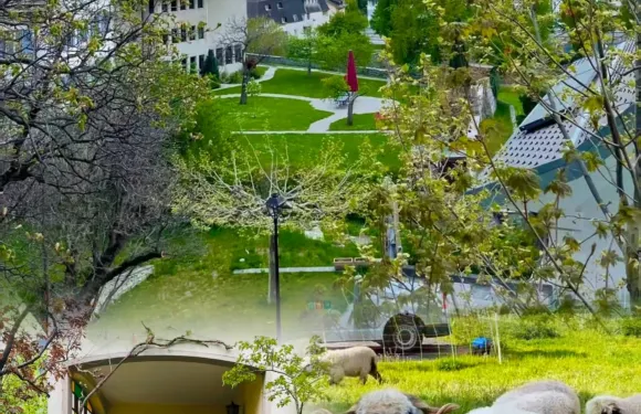 Restaurant Brigerhof Sukhothai