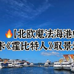 Renaa Matbaren張用戶圖片