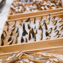 常州星河萬麗飯店·“燃”餐廳張用戶圖片