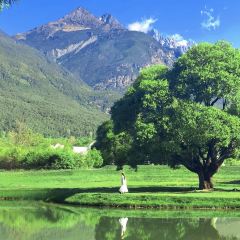 7 sea bar User Photo