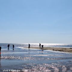 MORE SEA User Photo