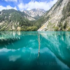 LIU LAO YAO MAO NIU ROU SHANG GUO User Photo