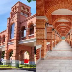 Jiuhaozizhuzhongcan (daminglu) User Photo