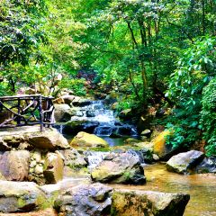 塘品楼私房菜 User Photo
