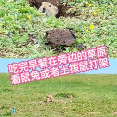 青海湖藏趣部落民宿·特色餐厅 User Photo