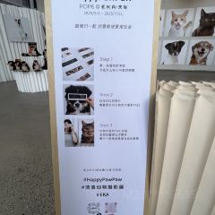 SOMEWHERE kitchen User Photo